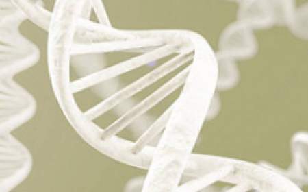زمان عمومی شدن آزمایش‌های ژنتیکی نرسیده است؟