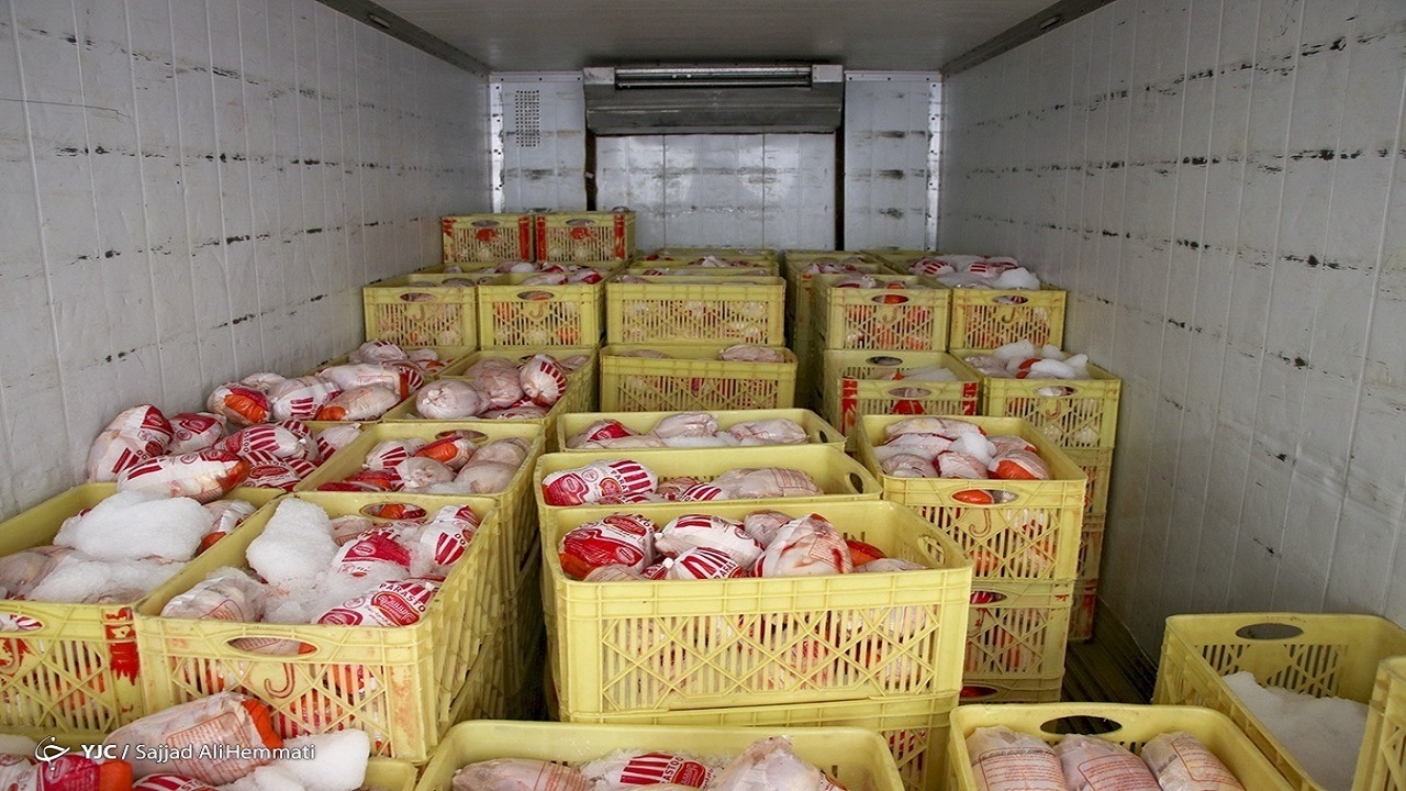 مقام صنفی: عرضه مرغ در بازار افزایش می یابد
