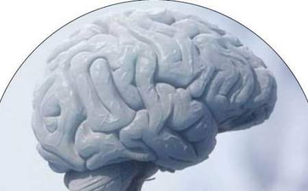 5 توصیه عصب‌شناسان برای سلامت مغز