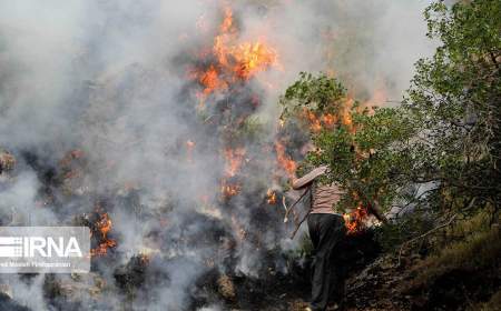 آتش‌سوزی در جنگل‌های مریوان تاکنون هفت مصدوم داشت؛ اعزام بالگرد برای مهار آتش