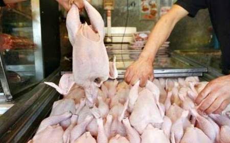 پیش‌بینی در مورد قیمت مرغ