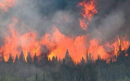 آتش‌سوزی کانادا؛ ۲۰ هزار نفر تخلیه می‌شوند