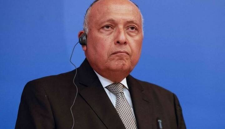 جدیدترین موضع‌گیری وزیر خارجه مصر درباره سوریه