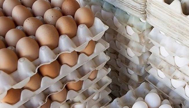 چرا قیمت تخم مرغ افزایش یافت؟
