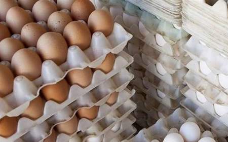 چرا قیمت تخم مرغ افزایش یافت؟