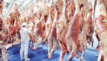 گوشت گوسفندی کیلویی ۲۸۲ هزار تومان شد