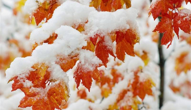 پیش‌بینی باران، برف و کولاک در ۲۰ استان