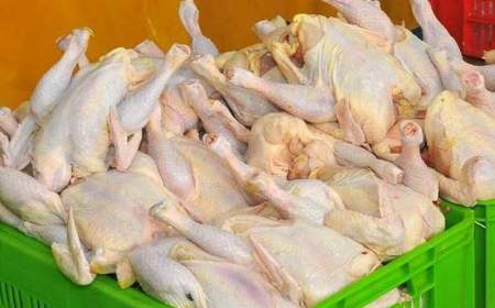 مرکز آمار: عرضه گوشت مرغ ۲۷ درصد بیشتر شد