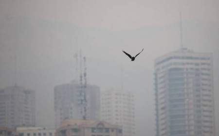 آثار هوای آلوده بر سلامت ۳۳ شهر ایران طی ۱۴۰۱