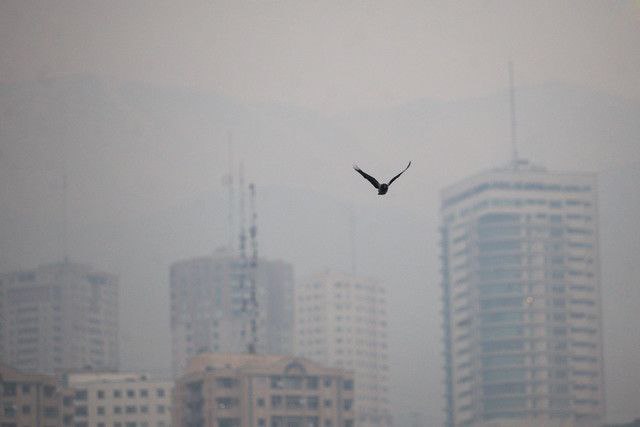 بیش از ۲۶ هزار مرگ منتسب به آلودگی هوا در ۱۴۰۱؛ قانون هوای پاک به درستی اجرا می‌شود؟