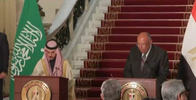 تاکید وزرای خارجه عربستان و مصر بر لزوم توقف فوری جنگ غزه