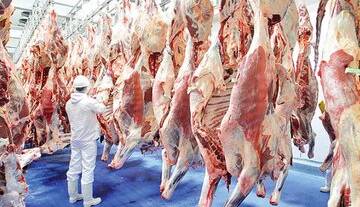 آخرین وضعیت قیمت گوشت قرمز