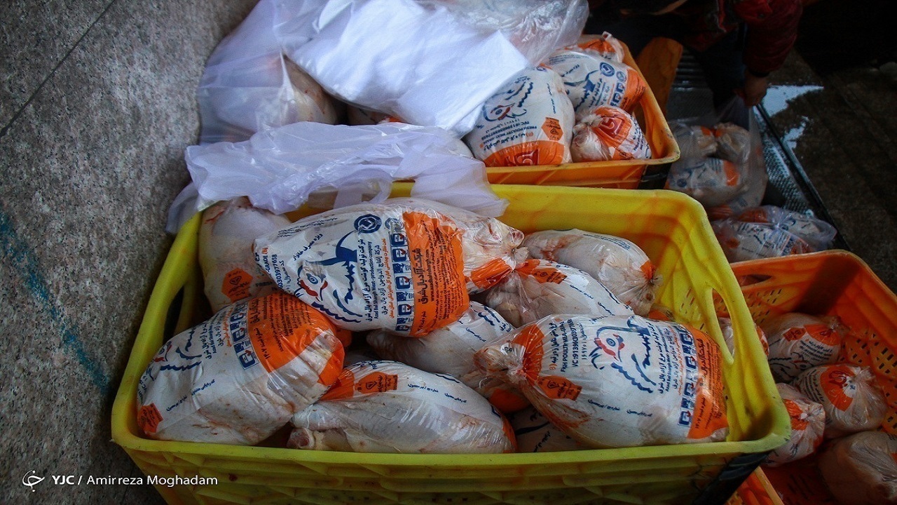 رئیس اتحادیه: قیمت مرغ تا پایان سال تغییری ندارد