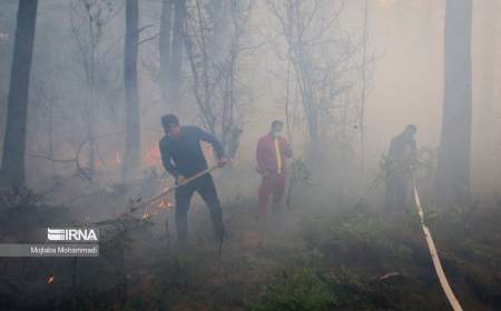 آتش به جان جنگل‌های مرزن آباد افتاد