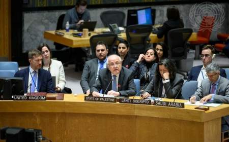 شورای امنیت به عضویت کامل فلسطین در سازمان ملل رای نداد